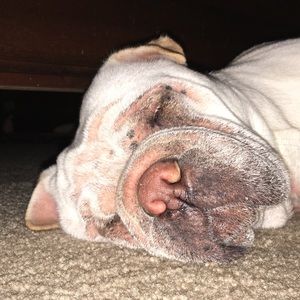 Meet your Posher, Matthew